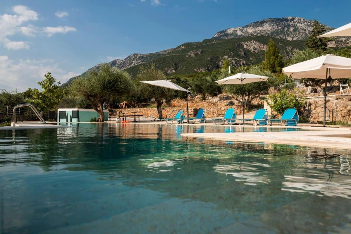 Villa Needa'S - Emotions House Crystal Pool Mikra Mandinia Exterior photo